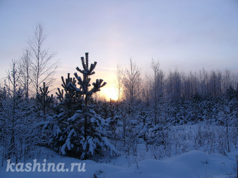 Солнце садится в зимнем лесу, фотография Евгении Кашиной