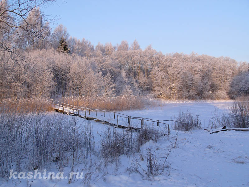 Морозное утро на озере Мстино, фотография Евгении Кашиной