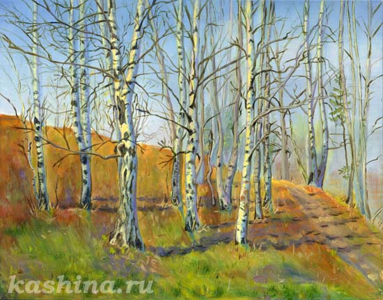 Birch grove. Evgeniya Kashina.